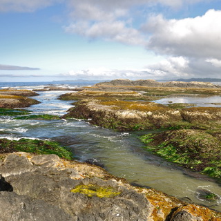 Pacific Rim NP - Wickaninnish Beach